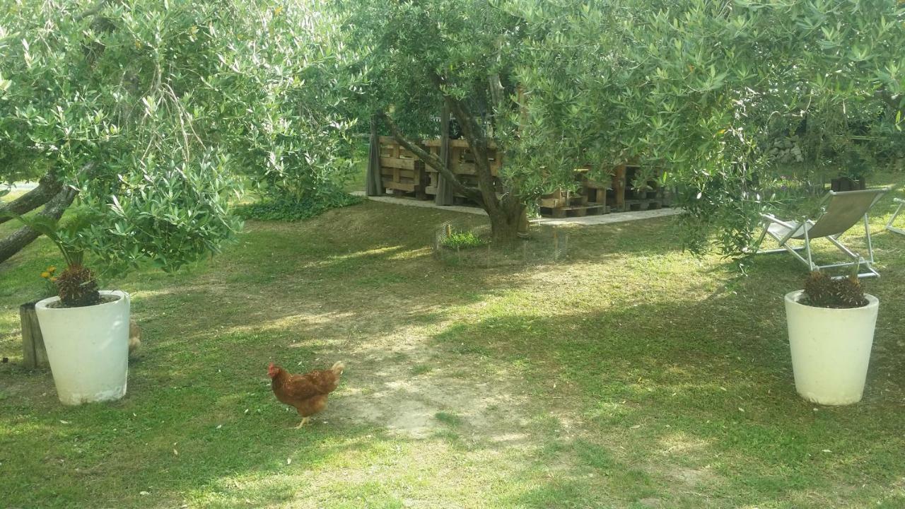 People Bed and Breakfast Castorano Buitenkant foto